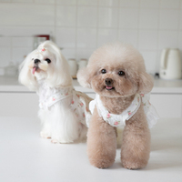 Robe de jupe pour chien de compagnie, motif de fleurs jolies, printemps été