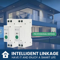 Disjoncteur intelligent WiFi Tuya 63A 2P sur rail DIN avec compteur d'énergie et protection contre les surtensions/sous-tensions à commande à distance