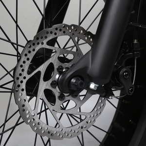 Tourwheel Mountain fatbike rapide 750W 48V suspension complète transport personnalisé Ebike vélo électrique gros pneu - Product Image 6