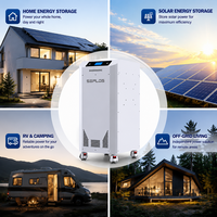 Kit de Batería de Almacenamiento Solar Seplos DIY, Paquete de Baterías de Litio de 51.2V 628Ah LiFePO4 con Sistema de Monitoreo Bluetooth BMS Inteligente