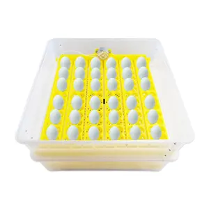 Small Fully Automatic Incubator Household HT-72 Eggs With Incubator Sensor 220V 110V