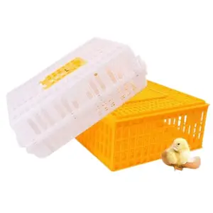 Cesta de plástico para aves de corral con rodamiento fuerte, caja de plástico, jaula de transporte de pollo, caja de transporte para pollo