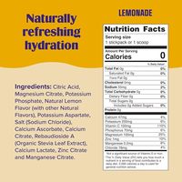 Poudre d'hydratation quotidienne sans sucre OEM/ODM avec 6 électrolytes et minéraux clés - Sans sucre, à base de plantes et compatible Keto