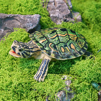 Modèle réaliste en PVC solide d'animal marin, reptile amphibie, tortue brésilienne, jouet et ornement, pour assemblage transfrontalier