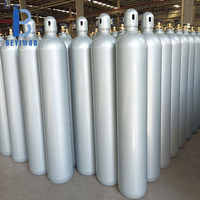 BEYIWOD Bouteille de dioxyde de carbone en acier 2L 5L 8L 10L 15L 20L 40L 50L 68L, réservoir de gaz CO2, cylindre pour aquarium, boissons, extincteur