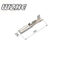WZHE 282080-1 AMP prise électrique de voiture connecteur automobile étanche 2 broches mâle femelle connecteur automatique