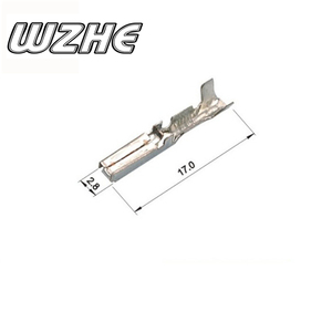 Wzhe 282080-1 Amp xe điện Cắm Ô TÔ kết nối không thấm nước <span class=keywords><strong>2</strong></span> pin nam nữ tự động kết nối - Product Image 6