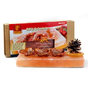 Đá bọt đá cho BBQ nướng Himalaya muối nấu ăn slab hình ảnh Muối tấm