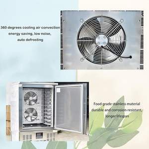 Congélateur coffre de boulangerie robuste à 10 plateaux, congélation rapide, refroidissement par air, basse température -36 à -40°C (Usage commercial) - Product Image 6