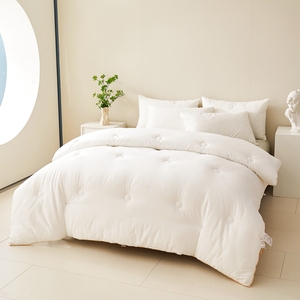 Modern King-Size Hotel <strong>Double</strong> <strong>Bed</strong> <strong>Duvet</strong> Insert Winter Quilt Soft Inner for Home Use Cotton - Product Image 2