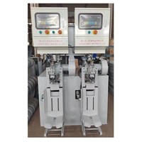 Ensacheuse à ciment à deux becs de type fixe Tangshan Zhongyi 30t/h