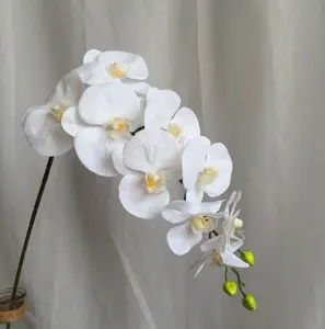Toptan sahte saksı orkide bitki 9 kafaları 3D baskı gerçek dokunmatik lateks yapay kelebek Phalaenopsis orkide çiçek