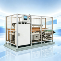 Máquina Automática de Llenado de Botellas de Bajo Costo para Aplicaciones Industriales y de Gases Especiales