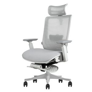Ergonomic Mesh Office <b>Chair</b> Adjustable Home Computer <b>Chair</b> with Lumbar <b>Support</b>, 5-Star Base, Rolling Casters, Comfortable Seat - Product Image 1