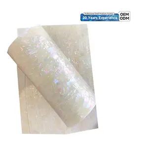 XE-142 nouveau Design coquille d'ormeau naturel papier flexible moderne classique coquille papier pour Art artisanat Nail Art vernis