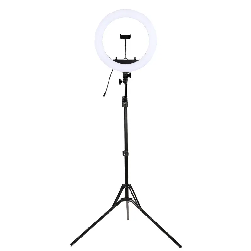 New 10 inch Adjustable Brightness 160 LED Selfie Ring Light for Photography Video Broadcast ring light avec tripied