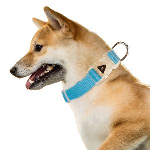 Collares LED de seguridad nocturna para mascotas, Collar de perro con Luz elegante para perros grandes, medianos y pequeños, Collar para mascotas - Product Image 3