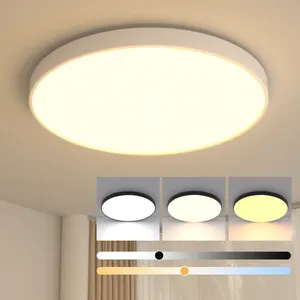 多尺寸彩色卧室圆形新发光二极管吸顶灯现代客厅圆形发光二极管灯防水发光二极管吸顶灯