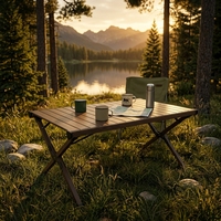 Table de camping pliable en aluminium, légère et portable, avec sac de transport pour barbecue en plein air, plage
