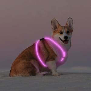 Arnés para perro de fibra óptica USB de estilo moderno, chaleco LED brillante, diseño clásico a rayas para caminar de noche, <span class=keywords><strong>collar</strong></span> iluminado hecho de plástico - Product Image 5