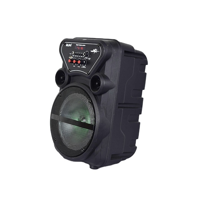 Multimedia Alexa Echo Dot 4 Boombox 8 Inch Sound Box Outdoor Portable USB FM TWS Radio Speaker