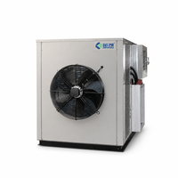 Bananenchips productiemachine warmtepomp fruitdroger Indonesische leverancier