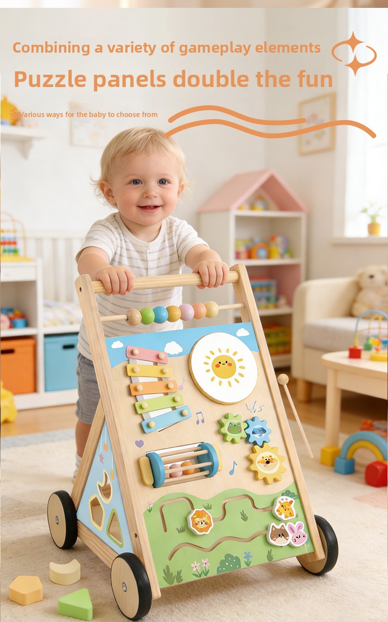 Multifunctional Activity Walker