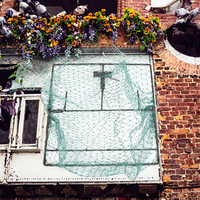 Nouvelles Pièges à Oiseaux Écologiques pour l'Attrape-Vie de Moineaux, Pigeons et Cailles – Cage de Capture en Maille HDPE de 1 mm, Taille 50x60cm, avec Service de Découpe