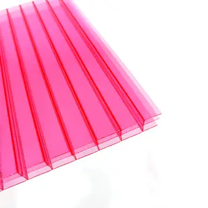 China Fabriek 8Mm 10Mm Dikte Roze Rode Multiwall Polycarbonaat Holle Plaat Voor Weergave En Teken