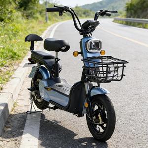 Vélo électrique adulte 500W/350W avec cadre en acier au carbone, écran numérique, autonomie de 50 km, nouveau modèle - Product Image 1