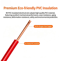 Câble électrique monobrin en cuivre BV isolé PVC, câble électrique industriel pour le câblage des bâtiments, 1,5 mm, 2,5 mm, 4 mm, IP65