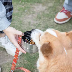 Garrafa de Água para Viagem de Animais de Estimação em Aço Inoxidável 32oz 3 em 1 à Prova de Vazamentos com Tigelas Destacáveis para Cães - Product Image 5