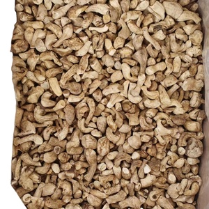 德坦高品质工厂蘑菇香菇脚/香菇脚大腿蘑菇3-6厘米 - Product Image 1