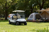 A627.H8 Vehículo Utilitario Eléctrico de 2 Plazas para el Transporte en Estaciones de Bomberos Rurales, Eliminación de Riesgos y Entrega de Materiales Ignífugos