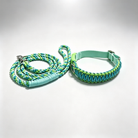 Ensemble de colliers et de laisses pour chiens en paracorde tressé robuste, corde de promenade réglable pour chiens de petite, moyenne et grande taille, OEM