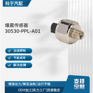 Capteur de cliquetis 30530-PPL-A01 et 30530-PNA-003 pour remplacement de moteur automobile, pièce OEM - Product Image 5