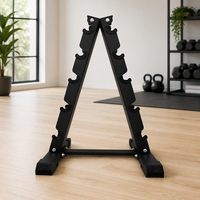 Support de rangement autoportant pour haltères en acier, 10 paires, avec revêtement en caoutchouc, idéal pour l'entraînement en salle de sport – Vente directe usine