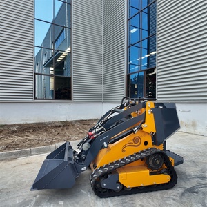 Euro 5 CE EPA Trung Quốc nhà sản xuất Skid chỉ đạo Bộ nạp thủy lực 500kg Skid chỉ đạo Bộ nạp tiêu chuẩn Tự động san lấp mặt bằng xô - Product Image 2