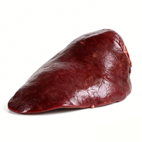 Foie de bœuf congelé de qualité supérieure à prix avantageux - Prix direct usine disponible Foie de bœuf congelé à vendre