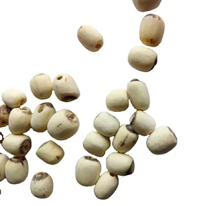 Lian Zi Rou высококачественные сушеные натуральные новые лущеные Лотос Семена нелюмбини для пищевых продуктов и трав