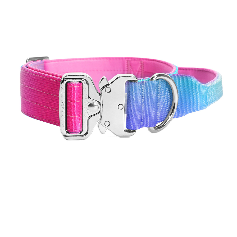 pink+bule+purple