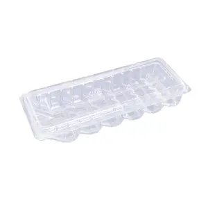 6 Compartment Food Box Clamshell Blister Packaging For Biscuit