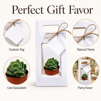 Cajas de Flores con Logotipo Personalizado para Ramos, Caja de Flores de Cartón Ecológica para Regalos de Boda