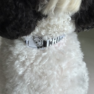 Pulsera RFID NFC Mini de Talla Única para Múltiples Eventos, Esencial para Mascotas, Hecha de PVC con Chip UL-C 50PF (T5577) - Product Image 2