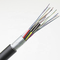 Kabel Serat Optik Single Mode G.652D untuk Saluran Bawah Tanah Luar Ruangan, Jaket GYTA PE/MDPE/HDPE, Bersertifikasi CE, Hitam, 2-288 Core Terlilit