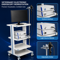 Système d'endoscopie vétérinaire modèle D en acier inoxydable de classe II pour gastroscopie animale, diagnostic des petits animaux, fourni directement par l'usine