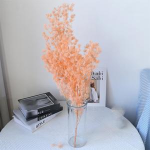 Mousse de renne stabilisée, lichen floral pour artisanat DIY, arrangement floral, <span class=keywords><strong>plante</strong></span> verte naturelle de 60-70 cm pour la décoration intérieure - Product Image 1