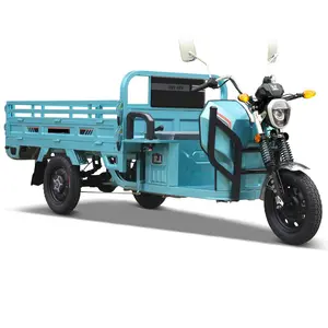 Cheap E-Trikes 3 Wheel Cargo Electric Tricycles Motorcycle 3 Wheel Adult