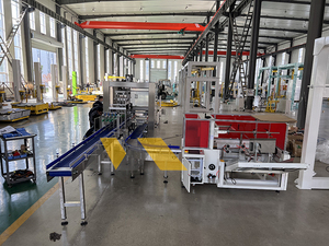 Carton Đóng Gói trường hợp đóng gói cho dây chuyền sản xuất tự động hóa với Giảm lao động yêu cầu - Product Image 2