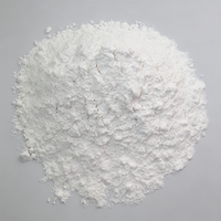Alúmina Gamma Nano Altamente Activa 4N en Polvo, Grado Industrial, Al2O3, Petroquímicos, Catalizador Ambiental, Productos Químicos Finos